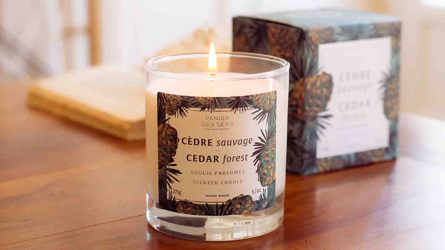 The Hidden Virtues of a Pine Scented Candle – Panier des Sens USA