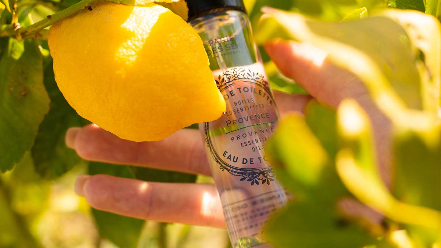 Cuidado corporal Provence - Panier des Sens USA