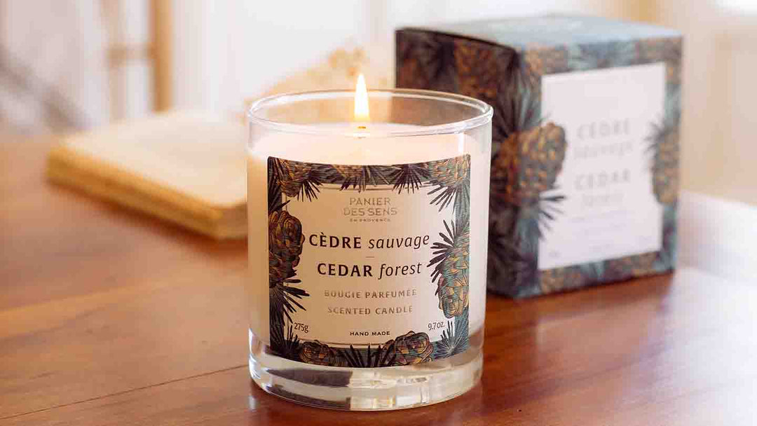 The Hidden Virtues of a Pine Scented Candle - Panier des Sens USA