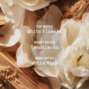 Scented Body Cream - Sands of Musk 5.1 fl oz