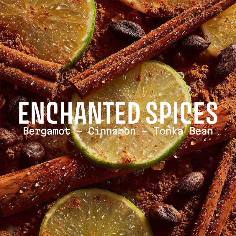 Enchanted Spices Soap 7oz – Christmas Limited Edition – Panier des