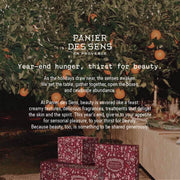 Enchanted Spices Soap 7oz – Christmas Limited Edition - Solid cosmetics - Panier des Sens USA