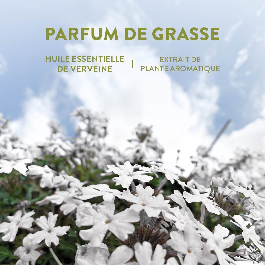 Verbena Perfume – Eau de Toilette Roll-On – Panier des Sens USA