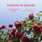 Rose Scented Perfume Roll - On Eau de Toilette - Eaux de toilette - Panier des Sens USA