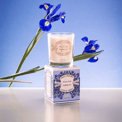 Scented candle - Blooming Iris Vegan candle 0.4 lb - Bougies parfumÃ©es - Panier des Sens USA