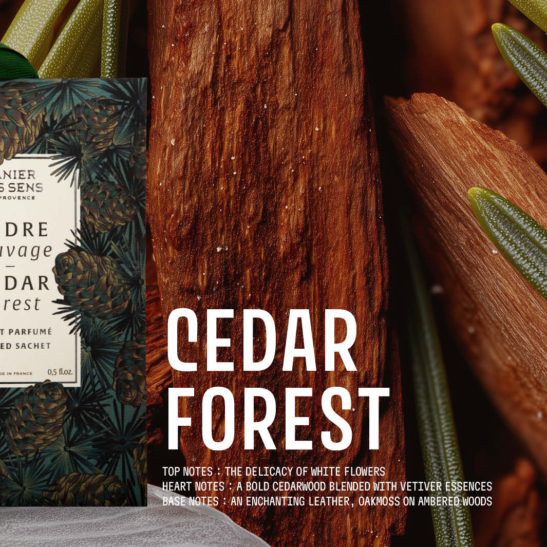 Scented Sachet Cedar forest 0.5 oz | Panier des Sens USA