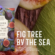 Scented Sachet Fig tree by the sea 0.5 oz - Scented Sachet - Panier des Sens USA