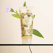 Lote de 6 geles de ducha de verbena (6,7 fl.oz.) - Gel de ducha - Panier des Sens