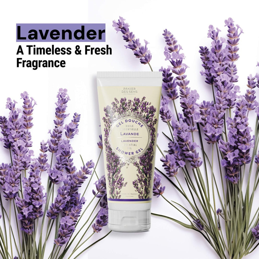 lavender plant in shower Lavender Shower Gel 6.7 fl oz – Relaxing & Soothing Scent, Softens Skin | Shea Oil | 96% Natural | Creamy Foam | Made in France