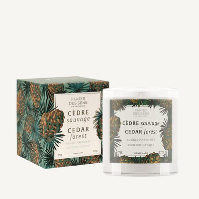 Scented Candle - Cedar Vegan Candle 0,61 lb - Scented candles - Panier des Sens USA