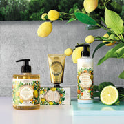 Shea Butter Body lotion - Soothing Provence - Body Lotion - Panier des Sens USA