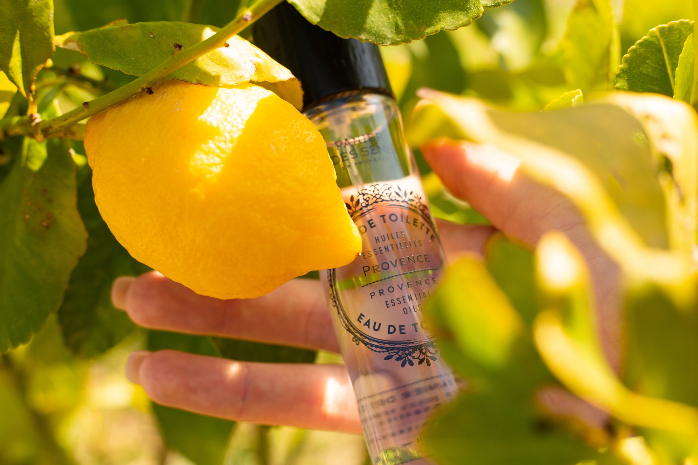 Perfume de aceites esenciales - Panier des Sens USA