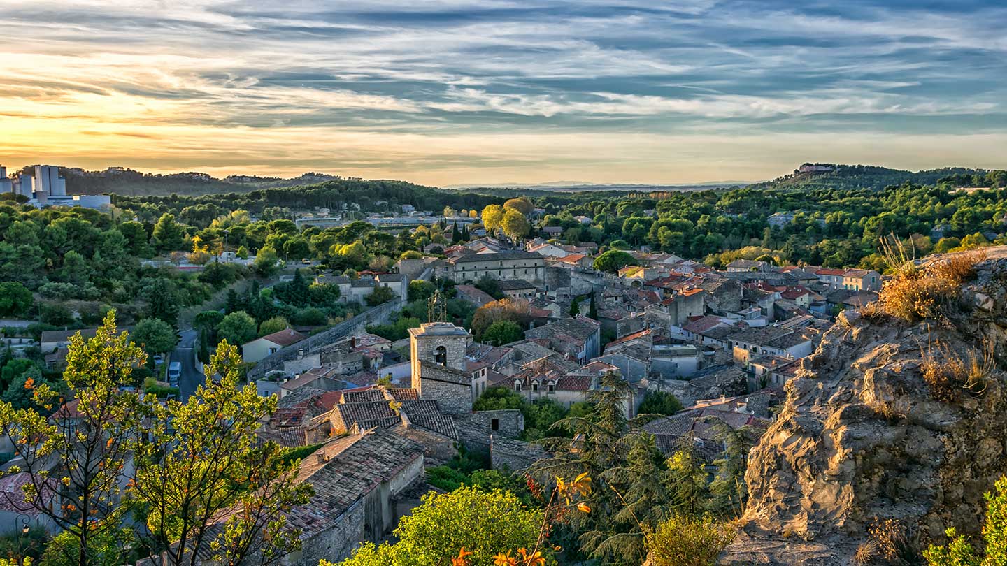 Jabones líquidos Provenza Marsella - Panier des Sens USA