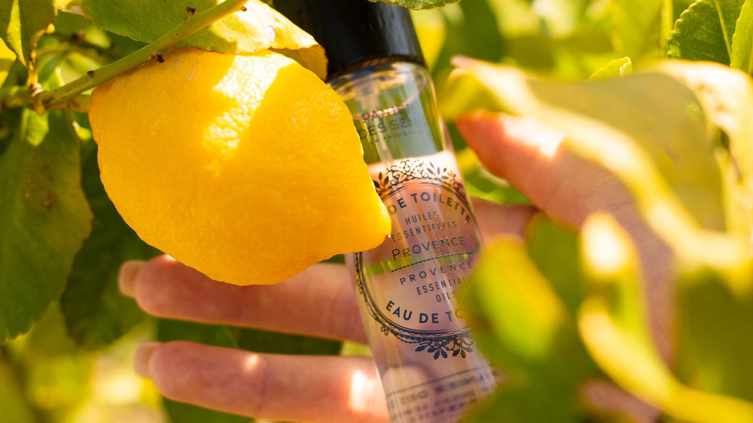 Regalos perfumados Provenza - Panier des Sens USA