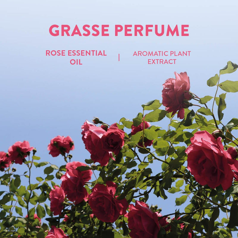 Eau de toilette roll - on - Rosa rejuvenecedora - Eaux de toilette - Panier des Sens USA