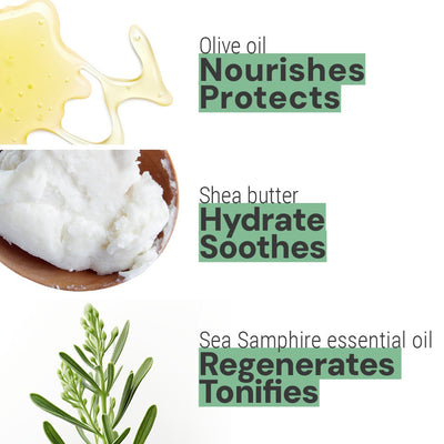 Crema de manos 2.5 floz - Stimulating Sea Samphire - Cuidado de las manos - Panier des Sens USA
