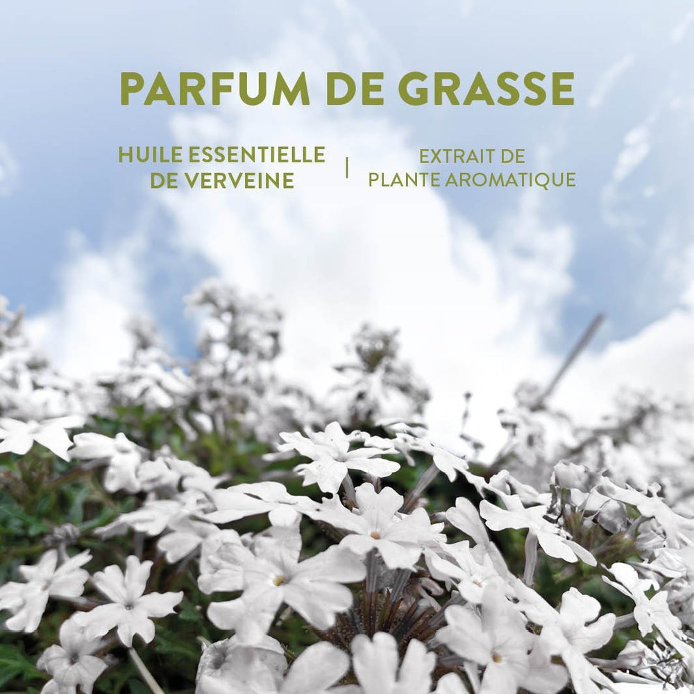 Relaxing Verbena Perfume Roll - On Eau de Toilette - Eaux de toilette - Panier des Sens USA