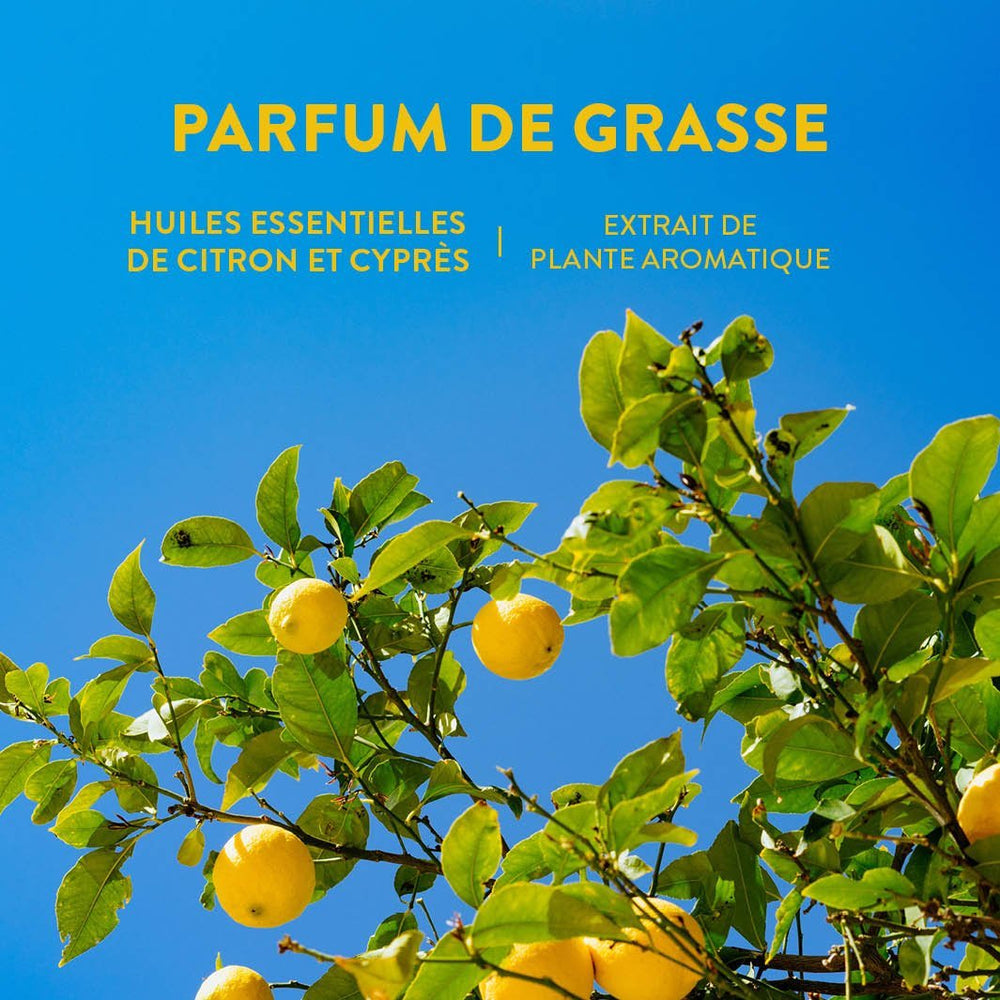 Perfume Roll-on Cítrico Provenzal Calmante - Eaux de toilette - Panier des Sens USA