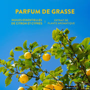 Perfume Roll-on Cítrico Provenzal Calmante - Eaux de toilette - Panier des Sens USA