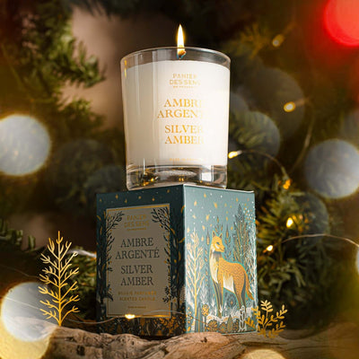 Vela perfumada Invierno - Ámbar plateado 0,4 lb - Velas perfumadas - Panier des Sens USA