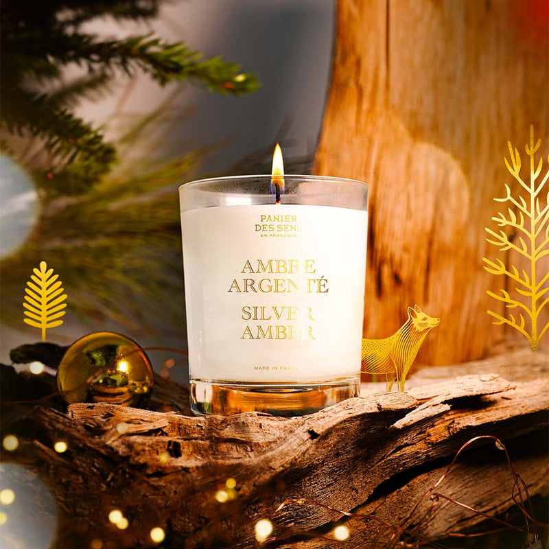 Vela perfumada Invierno - Ámbar plateado 0,4 lb - Velas perfumadas - Panier des Sens USA